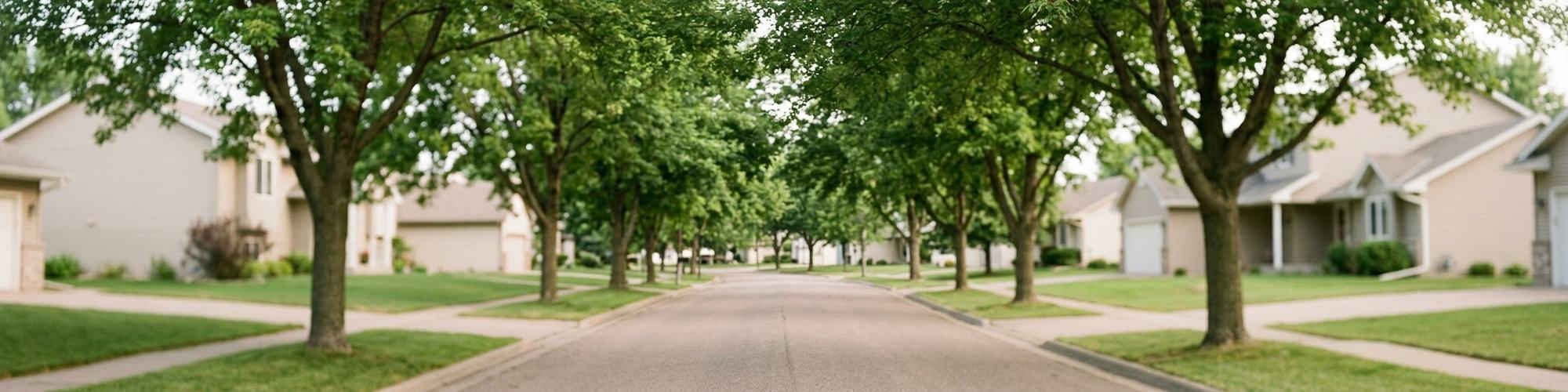 A quiet residential street on a clear morning